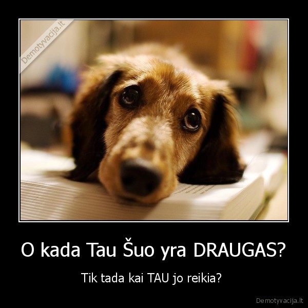 suo,draugas