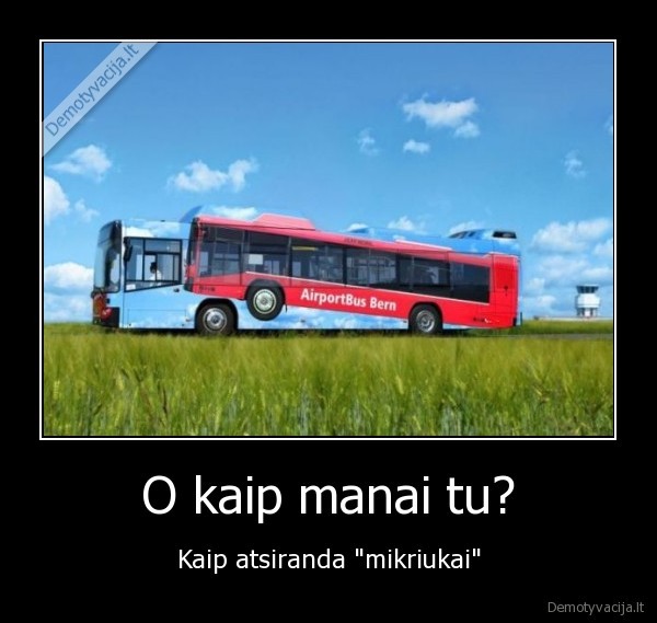 autobusas,lytinis, aktas,iliuzija