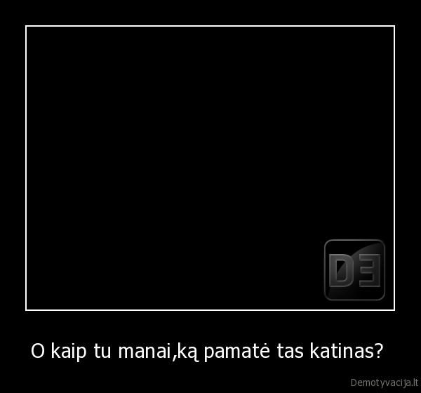 O kaip tu manai,ką pamatė tas katinas? 