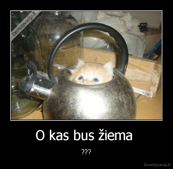 O kas bus žiema 