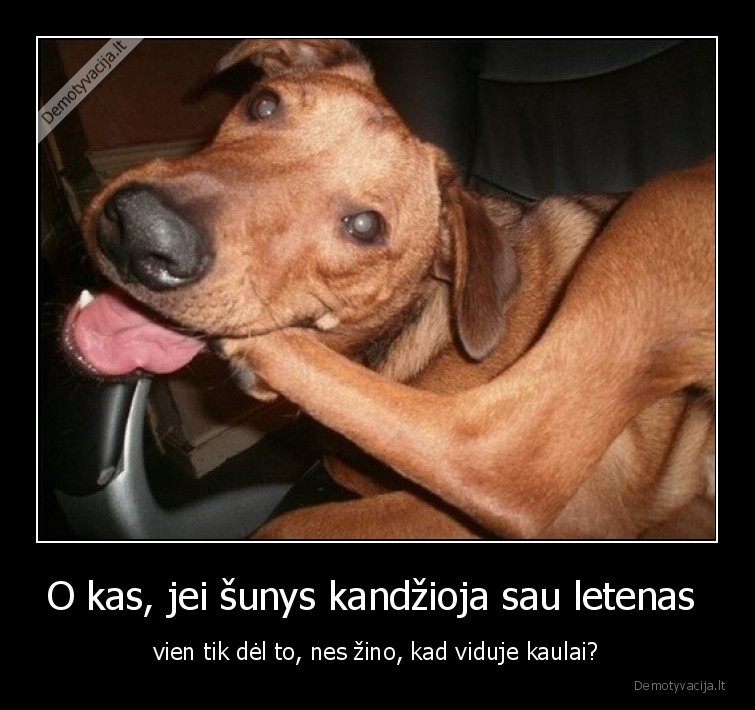 suo,kaulai,letenos