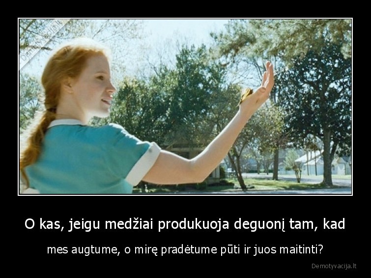 pamastymai,mintys,medziai,zmones