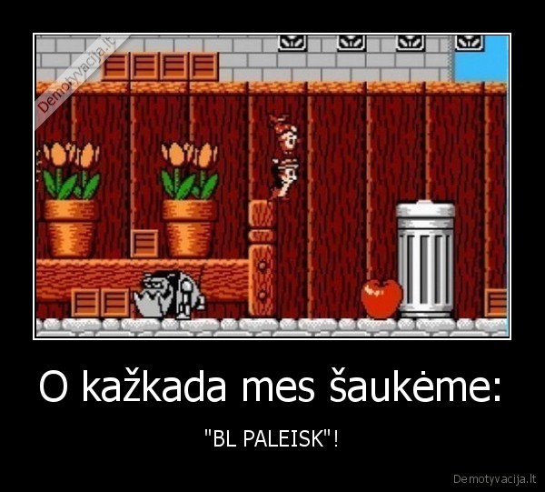 chip, and, dale,zaidimai,kompiuteriai