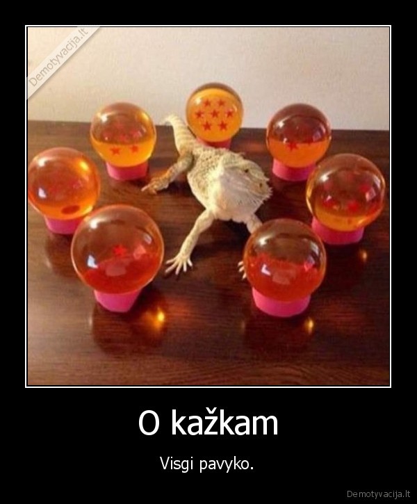 drakonas,rutuliai,drakonu, kova,dbz