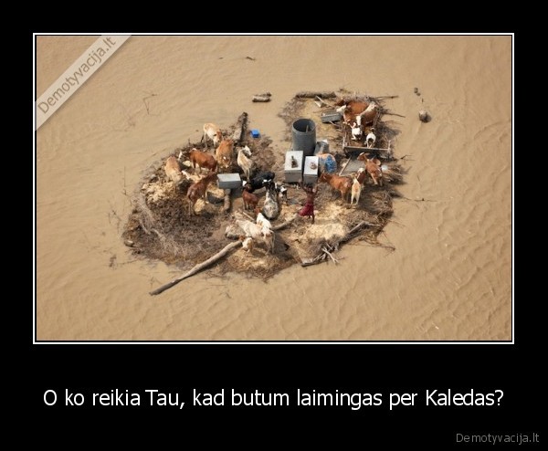 su, sv.kaledom