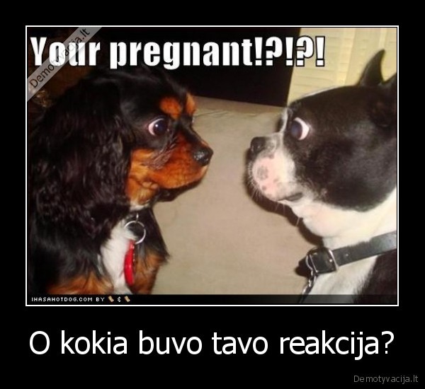 O kokia buvo tavo reakcija?
