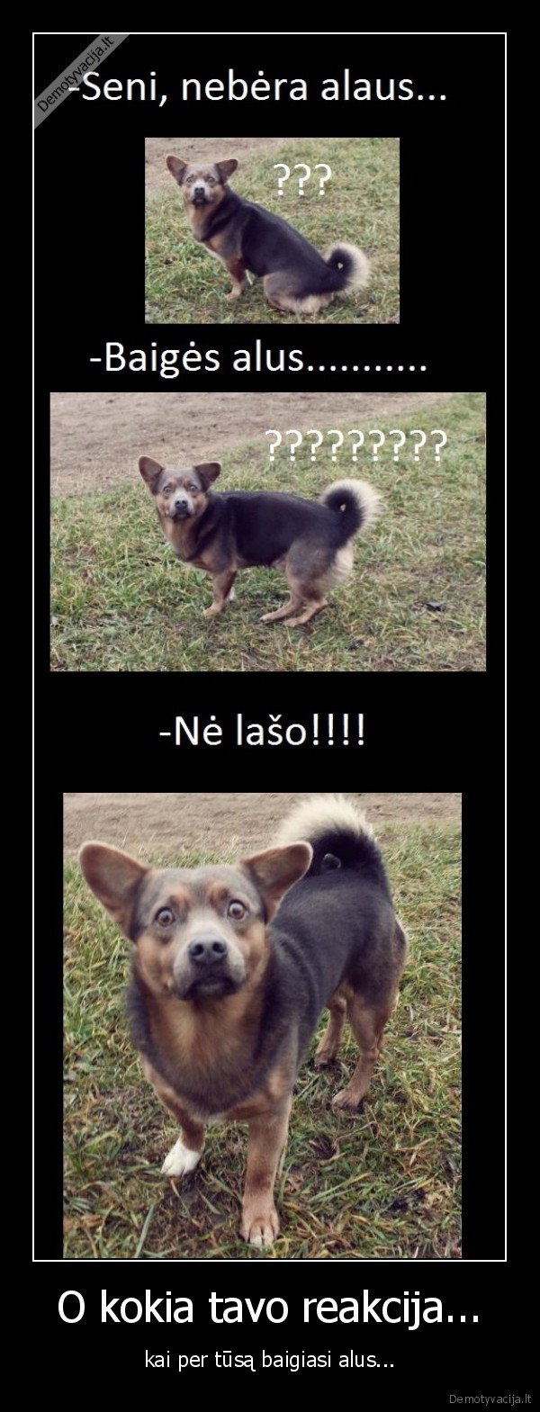 alus, baiges, 22h, nera, nacniko