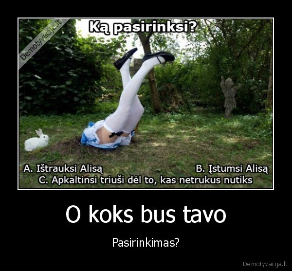 alisa, stebuklu, salyje,juodas, humoras