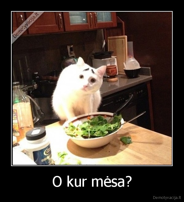 nustebes, katinas,antakiai