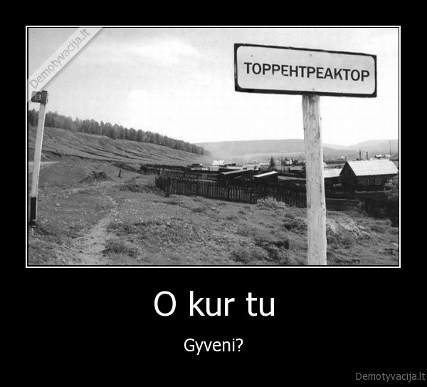 torrents,torrent, reactor,internet