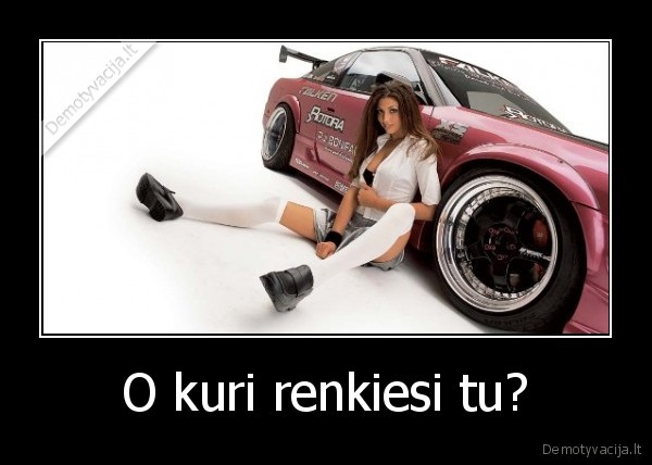 O kuri renkiesi tu?