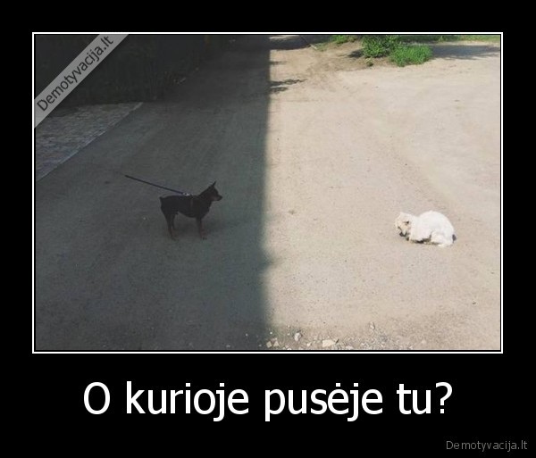 sviesi,tamsi