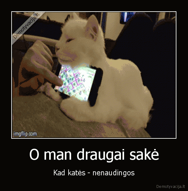 ismanusis, telefonas,kate, laikiklis,telefono, laikiklis