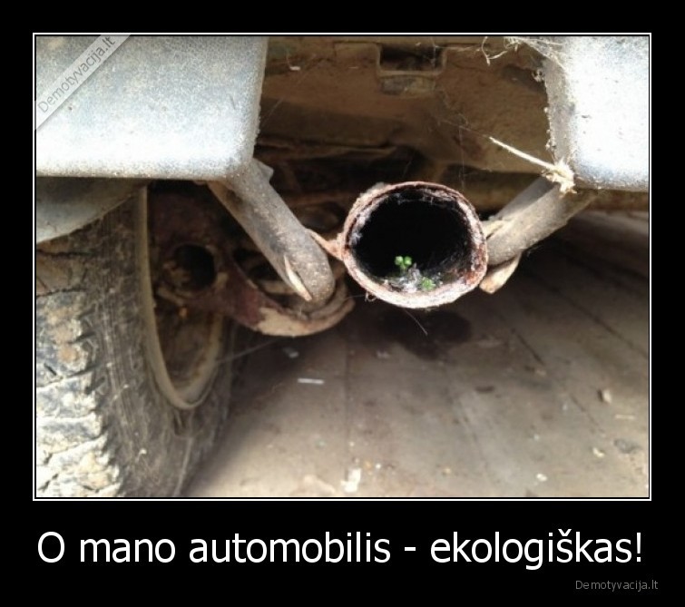 netersia, gamtos,zalias, automobilis