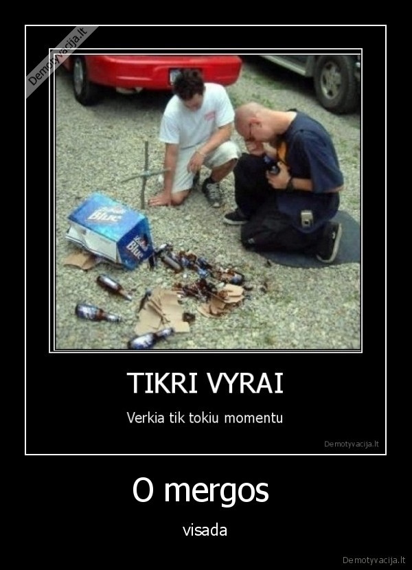 O mergos 