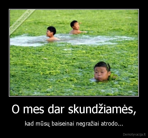 japonai