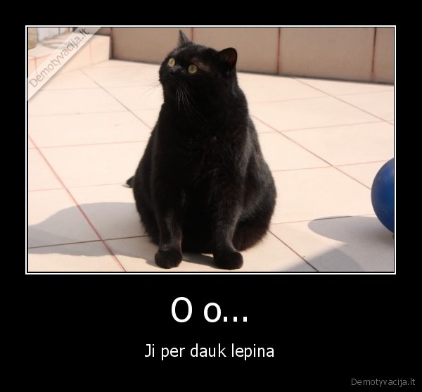 O o...
