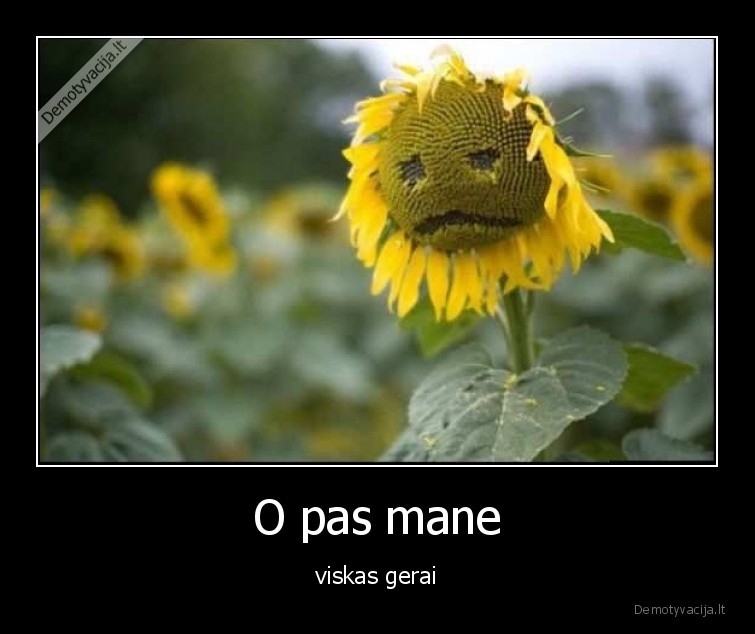 viskas,gerai,liudna,saulegraza