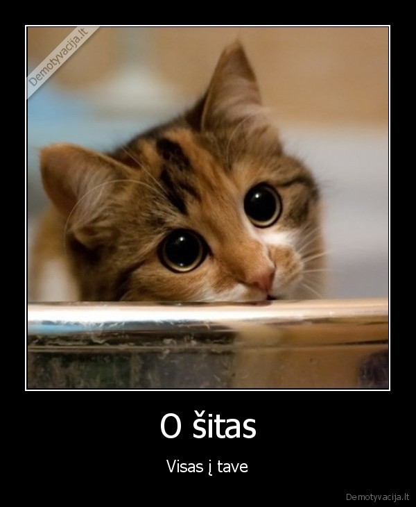 O šitas