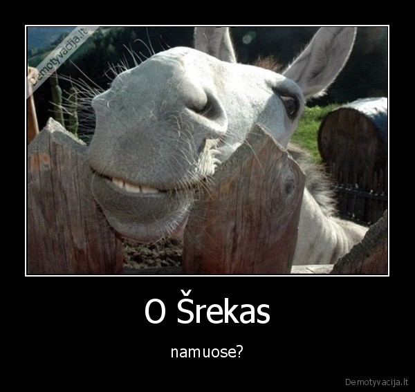 srekas,asilas