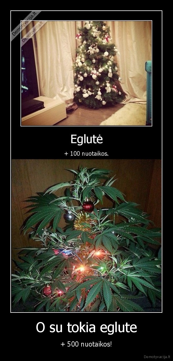 egle,zole,nuotaika