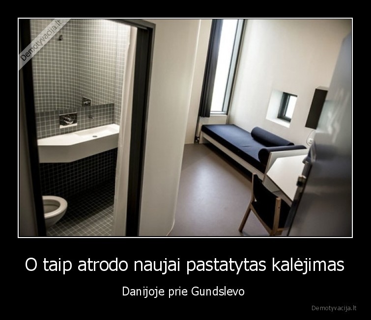 kalejimas,danija,realybe