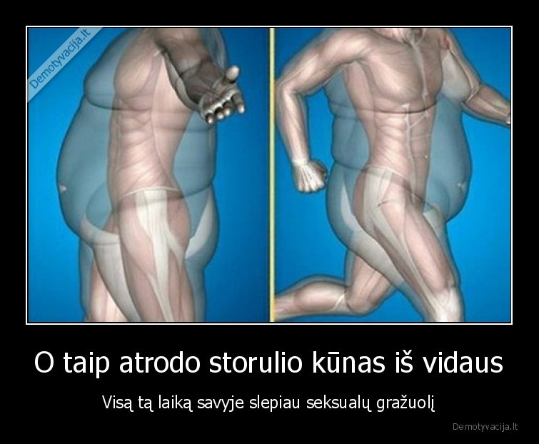 grazuolis,kunas,storas