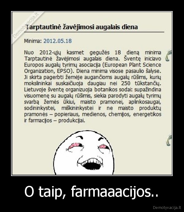 kas, nori, tas, supranta