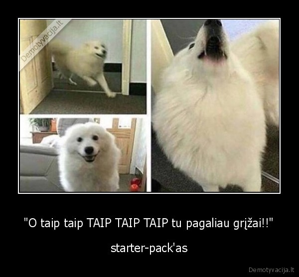 suo,meile,pasiilgimas
