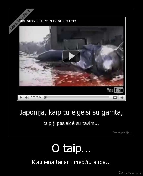 O taip...