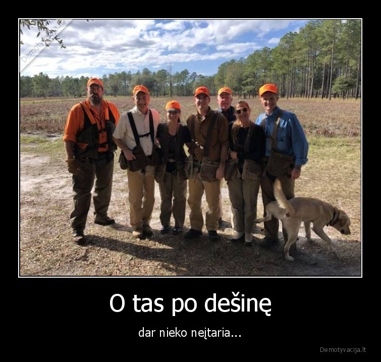 suo,apmyzti,bando
