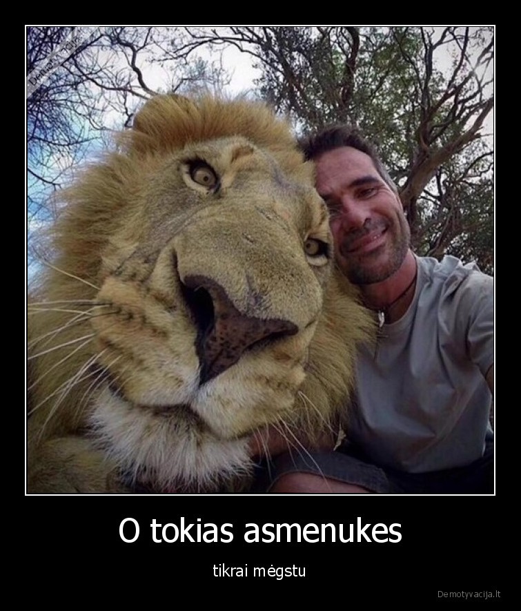 asmenukes,liutas,photo
