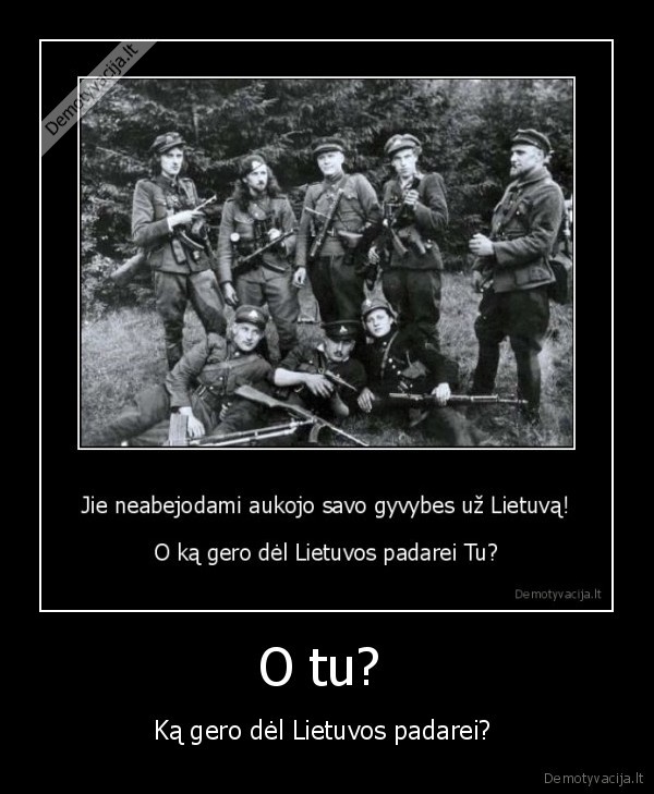 ru, kaip, ir, kubilius, del, lietuvos, nedarai, nieko, tik, stumi, ant, kitu, pakart, rotusej