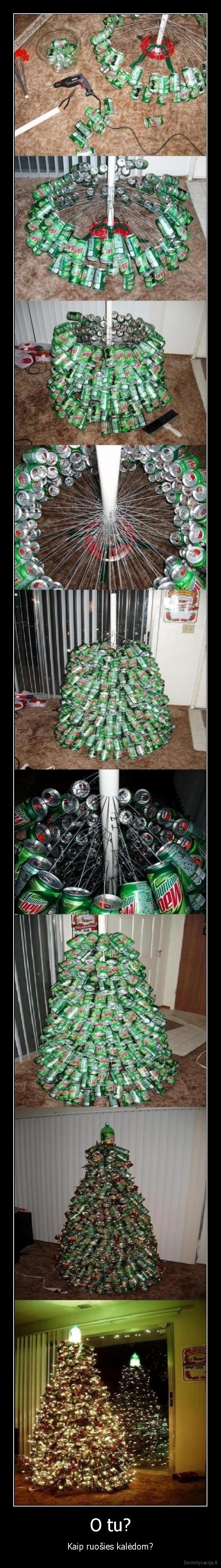 kaledos,eglute,sventes