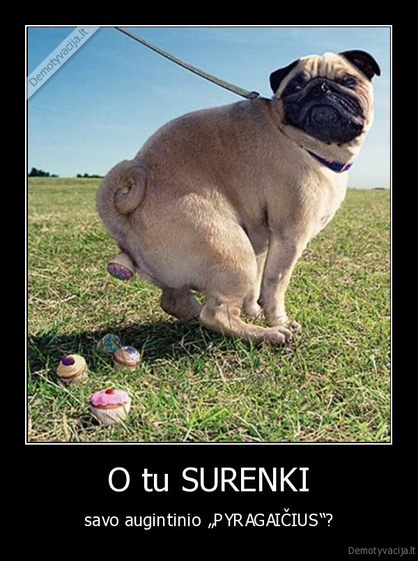 sudukas