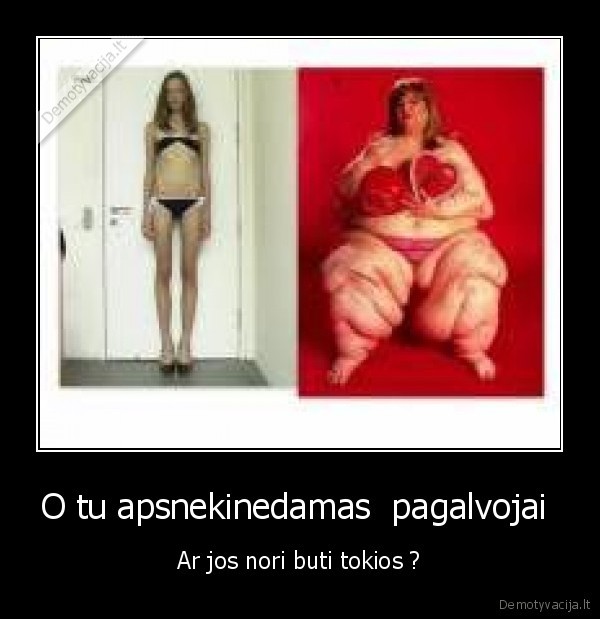 kubilius, gaidys, 