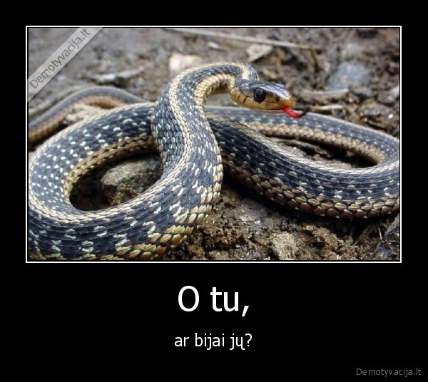 O tu,