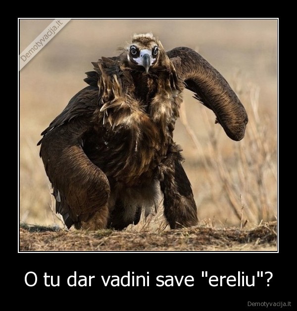 erelis