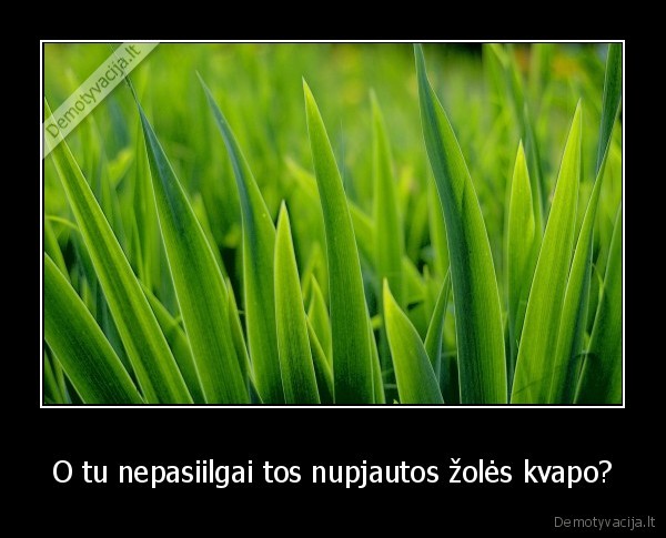 kubilius, del, visko, kaltas