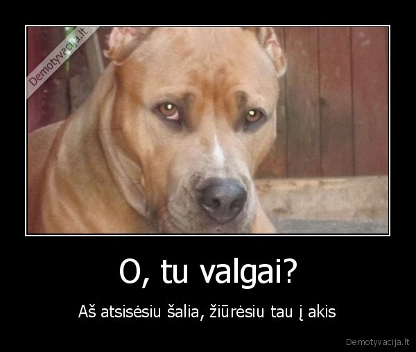 suo,valgyti