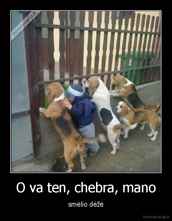 O va ten, chebra, mano