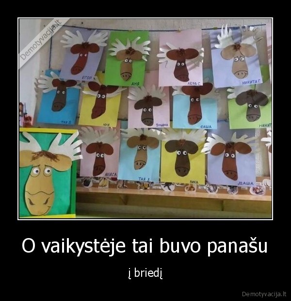 briedis