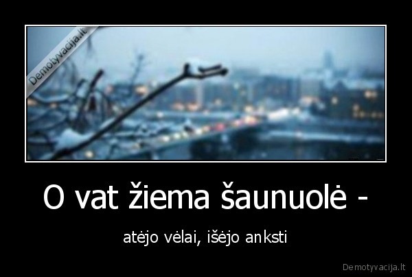 ziema