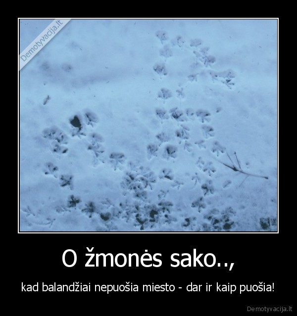 O žmonės sako..,