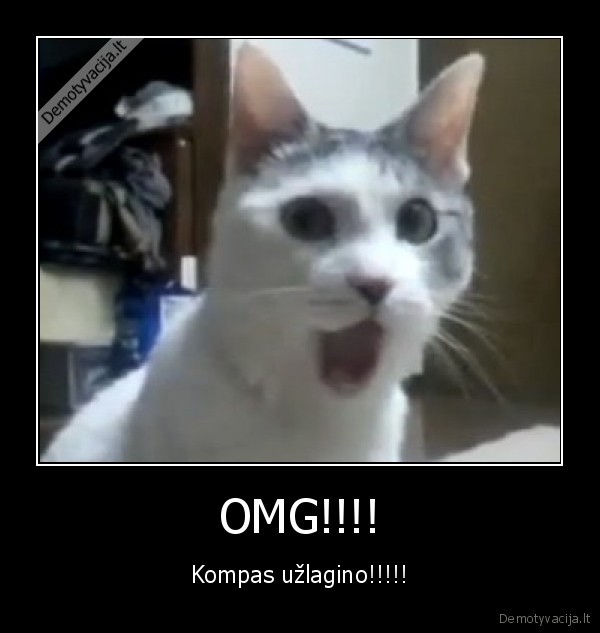 OMG!!!!
