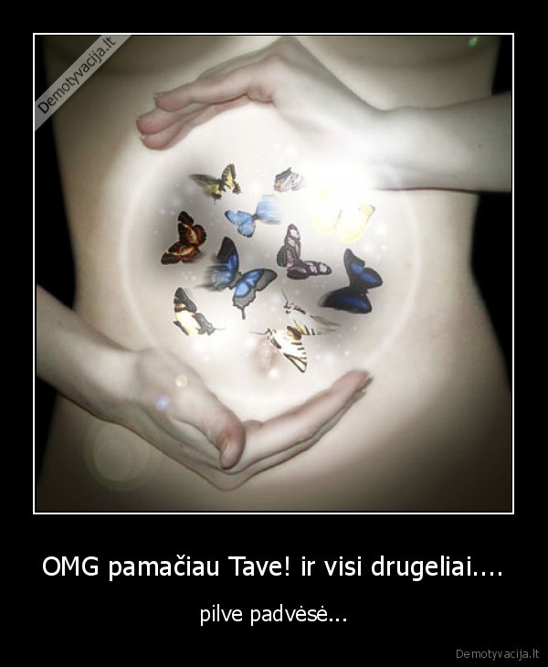 drugeliai, skrandis