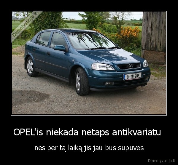 supus,rudys,kubilius, kaltas