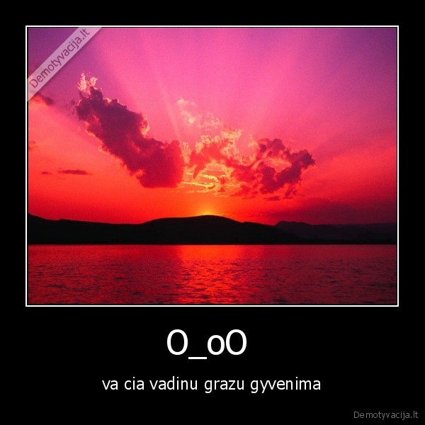 O_oO 