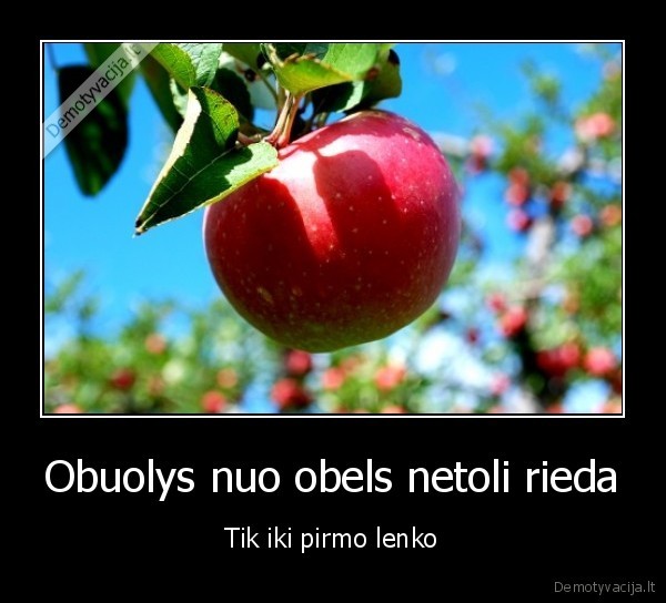 Obuolys nuo obels netoli rieda
