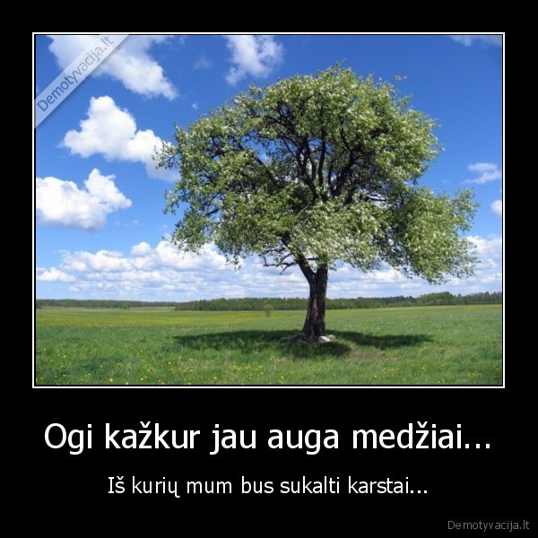 Ogi kažkur jau auga medžiai...